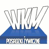 WKM Posadzki Żywiczne Wiesław Mocniak, Spytkowice godziny otwarcia