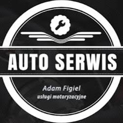 Auto Serwis Figiel Mechanik Samochodowy, Stargard godziny otwarcia