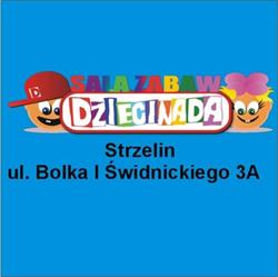 "Dziecinada" Sala Zabaw Paweł Mihułka, Strzelin godziny otwarcia