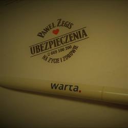 Ubezpieczenia Paweł Żegis, Toruń godziny otwarcia