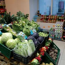Mecen, Tuchola godziny otwarcia