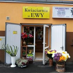 Ewa Zając Kwiaciarnia U Ewy, Wrocław godziny otwarcia