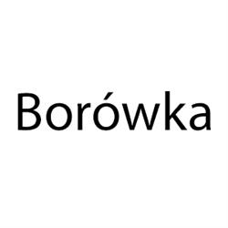 BORÓWKA Anna Wdówik, Złoczew godziny otwarcia
