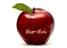 Eco-Evi Rękodzieła Ewa Tomaszewska, Wągrowiec godziny otwarcia