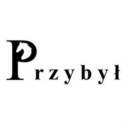 BIURO RACHUNKOWE PRZYBYŁ S C, Ostrów Wielkopolski godziny otwarcia