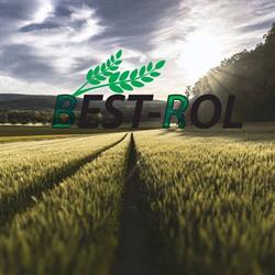 BEST ROL PRZEMYSŁAW SOŁOWIŃSKI, Andrzejewo godziny otwarcia