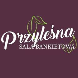SALA BANKIETOWA PRZYLEŚNA S C DAWID KOPER PAWEŁ KOPER, Nadarzyn godziny otwarcia