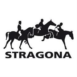 Stragona, Strzegom godziny otwarcia