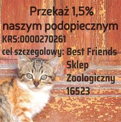 Best Friends Sklep Zoologiczny Lódz, Łódź godziny otwarcia