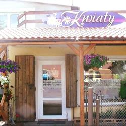 Kwiaciarnia Stokrotka, Kobylnica godziny otwarcia
