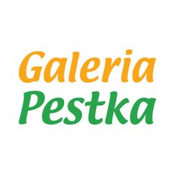 Salon NC+ Galeria Pestka, Poznań godziny otwarcia