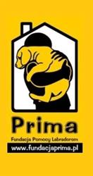 Fundacja Pomocy Labradorom PRIMA, Poznań godziny otwarcia
