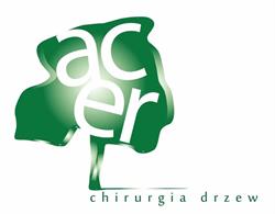 Tomasz Chandze - Acer Chirurgia Drzew, Łódź godziny otwarcia