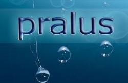 PRALUS Systemy Pralnicze, Sułkowice godziny otwarcia
