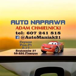 ADAM CHMIELNICKI AUTO NAPRAWA, Pieszyce godziny otwarcia