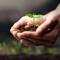 AGROSYSTEMY SP Z O O, Puławy godziny otwarcia