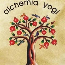 ALCHEMIA SP Z O O, Bydgoszcz godziny otwarcia