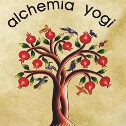 ALCHEMIA SP Z O O, Bydgoszcz godziny otwarcia