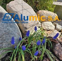 ALUMIC S A, Bielsk Podlaski godziny otwarcia