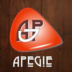 APEGIE SP Z O O, Głogówek godziny otwarcia