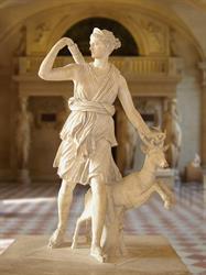 ARTEMIS SP Z O O, Drawsko Pomorskie godziny otwarcia