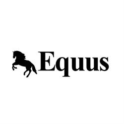 ARTUR SZMIGIELSKI WSPÓLNIK SPÓŁKI CYWILNEJ EQUUS, Zelów godziny otwarcia