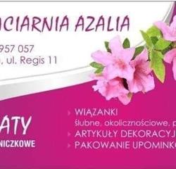 BARBARA KORTA FIRMA HANDLOWO USŁUGOWA KWIACIARNIA AZALIA, Bochnia godziny otwarcia