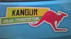 BARTOSZ ZARYCHTA USŁUGI TRANSPORTOWE KANGUR, Chrzanów godziny otwarcia