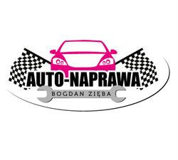 BOGDAN ZIĘBA AUTO NAPRAWA, Dobrzany godziny otwarcia