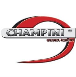 CHAMPINI SP Z O O, Blizanów godziny otwarcia
