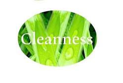 Cleanness Anna Rosołowska, Gdańsk godziny otwarcia
