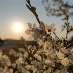 COMA, Władysławowo godziny otwarcia
