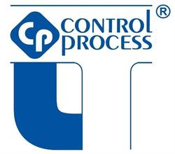 CONTROL PROCESS IT SP Z O O, Bogumiłowice godziny otwarcia