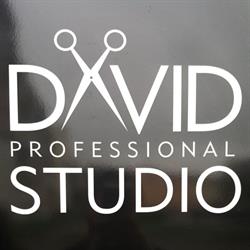 DAVID PROFESSIONAL STUDIO DAWID KRYGER, Człuchów godziny otwarcia