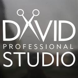DAVID PROFESSIONAL STUDIO DAWID KRYGER, Człuchów godziny otwarcia