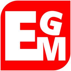 E-GM Usługi Informatyczne Paweł Nowicki, Przedbórz godziny otwarcia