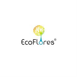 ECOFLORES, Nowy Targ godziny otwarcia
