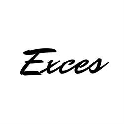 FH EXCES, Katowice godziny otwarcia