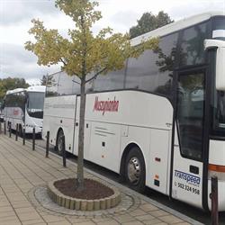 Adam Ciastoń F.U.T.H "TRANSPEED", Krynica-Zdrój godziny otwarcia