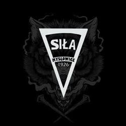 KLUB SPORTOWY OLIMPIA SIŁA MYSŁOWICE, Mysłowice godziny otwarcia