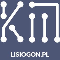 KM SERWIS IT, Lisi Ogon godziny otwarcia