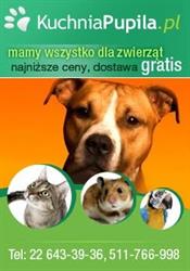 KUCHNIAPUPILA PL, Warszawa godziny otwarcia