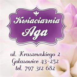 Kwiaciarnia "Aga", Golasowice godziny otwarcia