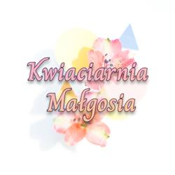 KWIACIARNIA MAŁGOSIA, Łask godziny otwarcia