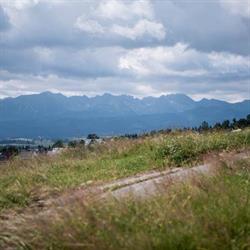 LANO SP Z O O, Biały Dunajec godziny otwarcia