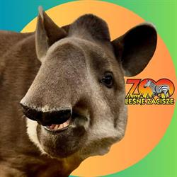 Ogród Zoologiczny Leśne Zacisze, Morawica godziny otwarcia