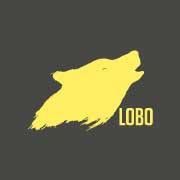 LOBO SPORT SP Z O O, Poznań godziny otwarcia