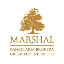 MARSHAL SP Z O O ODDZIAŁ WAŁBRZYCH, Wałbrzych godziny otwarcia