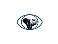ELEFANT OPTYKA, Poznań godziny otwarcia