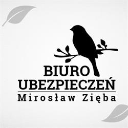 MIROSŁAW ZIĘBA BIURO UBEZPIECZEŃ, Kamienica godziny otwarcia